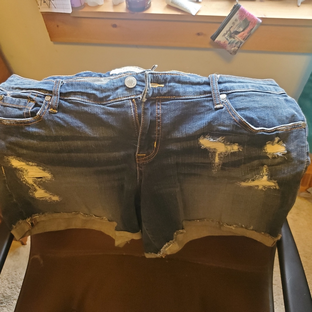 Torrid shorts